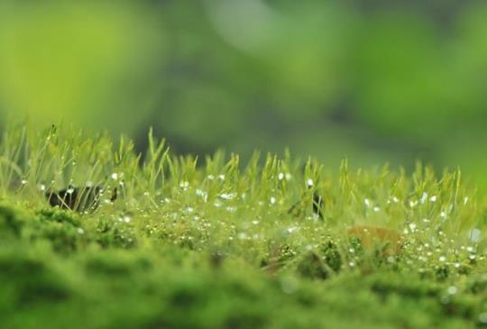 【恨記太深最没好處】